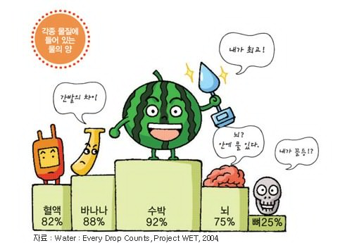 각종 물질에 들어있는 물의 양 - 혈액 82%, 바나나 88%, 수박 92%, 뇌 75%, 뼈 25% (자료:Water:Every Drop Counts, Product WET, 2004)