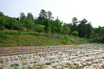 장성군 황룡면 옥정리