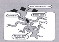 흡수-흡착 관련 이미지